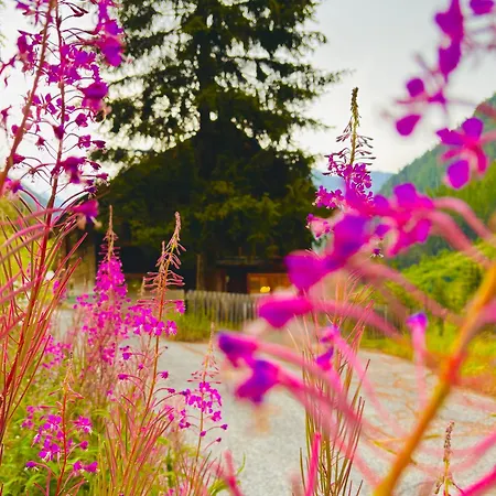 Haus Freistabl - Uriges Fuer 6 Personen Mit Sauna & Bergblick Im Oetztal Casa vacanze Sölden